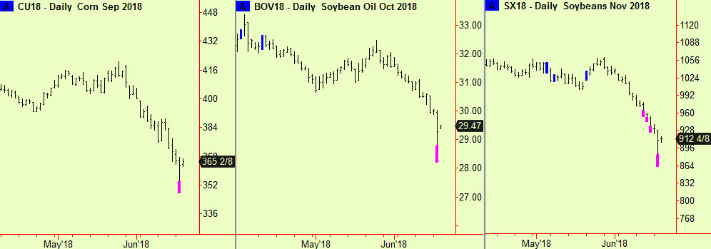 Corn, Soya oil & beans