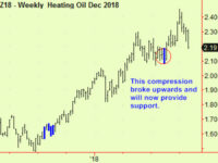 Gasoline falls into an extension
