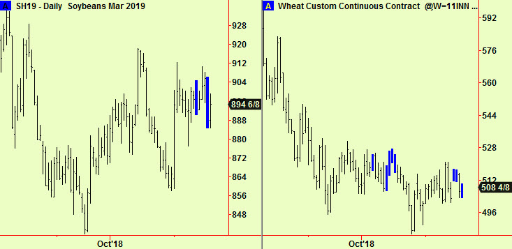 Soy & Wheat dly comps