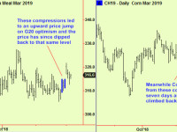 Grains – first signs of life