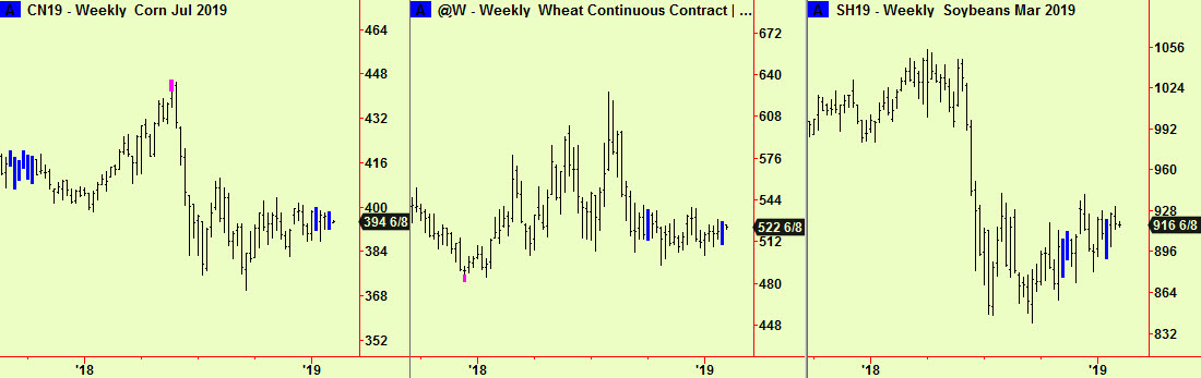 Corn, wht, bns wkly comps