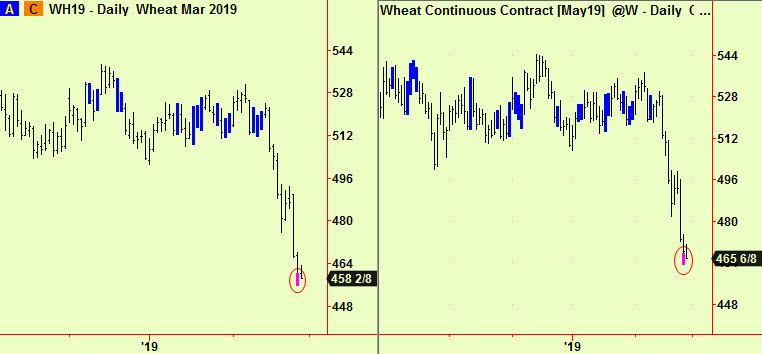 wheat bottom exts
