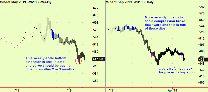 Wheat weekly bott & daily comp
