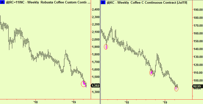 Weekly coffee bott exts