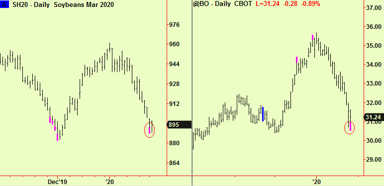 Beans and oil extend