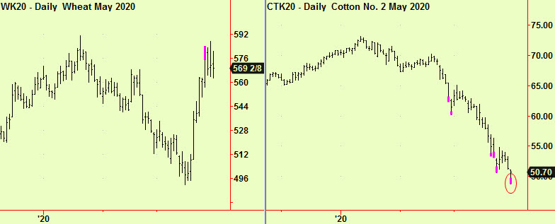 Wheat and cotton exts