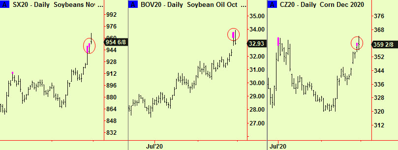 Beans, Oil Corn top exts