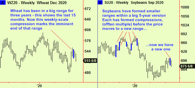 Wheat & Beans weekly comps