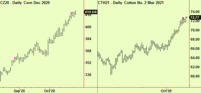 Corn, Ctn top exts