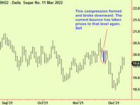 Equity update. Sugar rallies to resistance