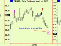 Equities and Soya