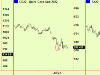 US Equities still compressing, Bonds now too. Japan did break up. Grain and Gold updates.